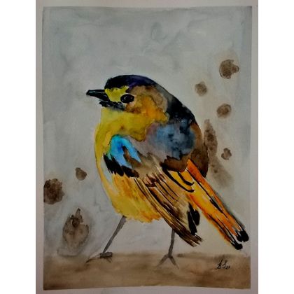 Kolorowy ptak., Bogumiła Szufnara, obrazy akwarela