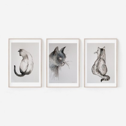 Trzy  akwarele-koty, Paulina Lebida, obrazy akwarela
