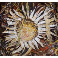 CARLINA