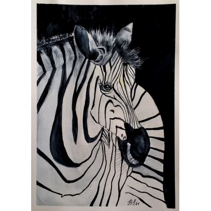 Zebra., Bogumiła Szufnara, obrazy akwarela
