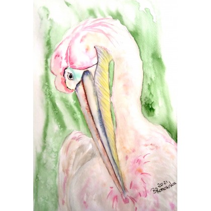 Różowy pelikan, Bożena Ronowska, obrazy akwarela