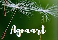 Agnaart