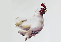 paweln